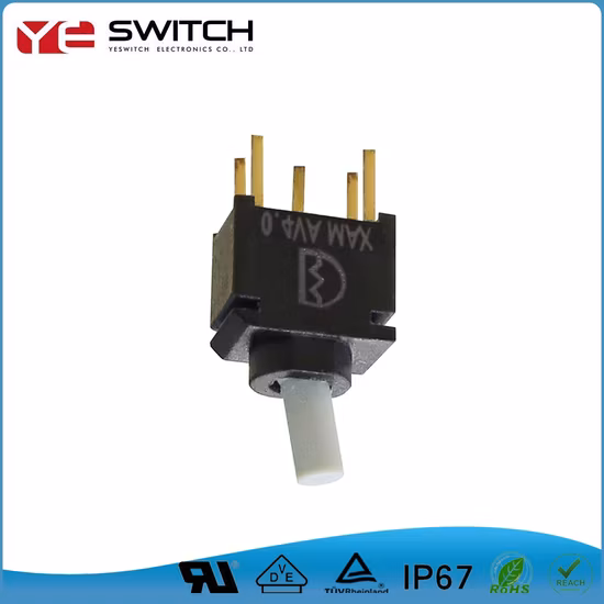 Interruptor de palanca IP68 20A con certificado UL y ENEC